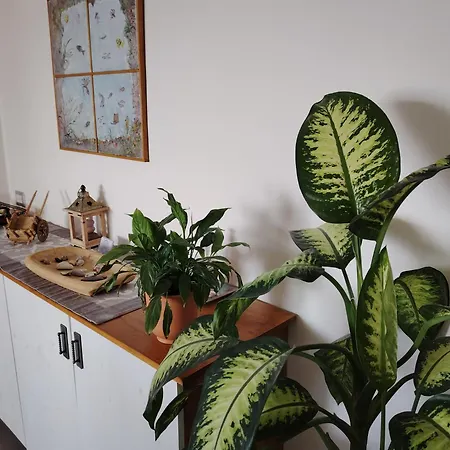 Apartamento Casa De Paoli - Vista Mare Arenella, Con Parcheggio Privato *